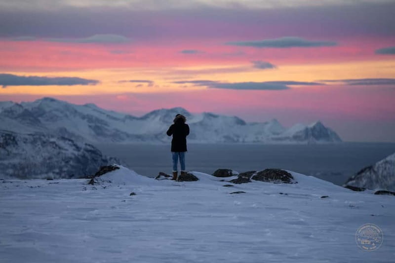 From Tromsø: Arctic Roadtrip: fjords tour with scenic picnic - What the picnic by the water actually gives you