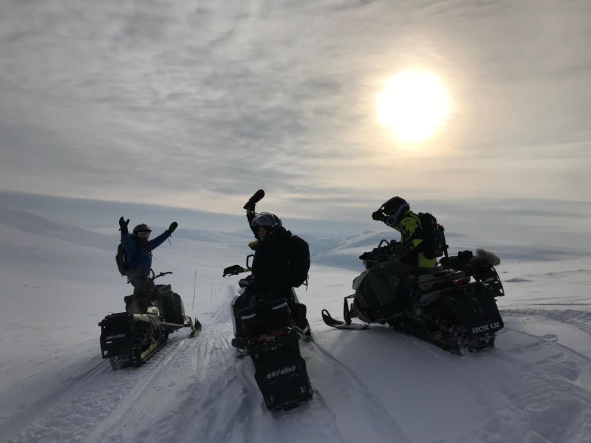 From Tromso: Arctic Wilderness Snowmobile Daytime Tour - Key Takeaways Before You Book