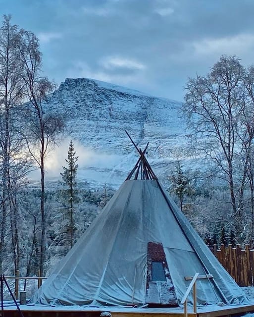 From Tromso: Arctic Wilderness Snowmobile Daytime Tour - From Tromsø to the Lyngen Alps: Why the Day Feels So Remote