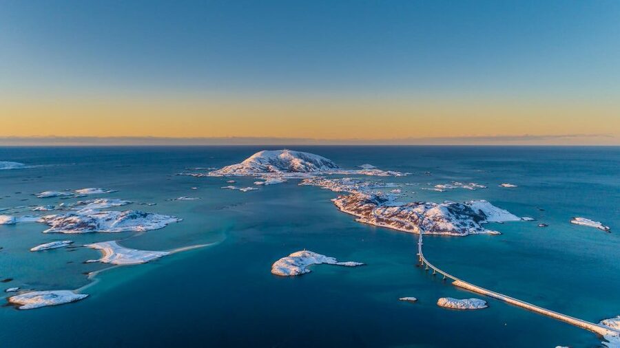 From Tromsø: Arctic Wildlife & Fjord Sightseeing Tour by Car - Arctic wildlife and birds: what you might see, and how to think about it