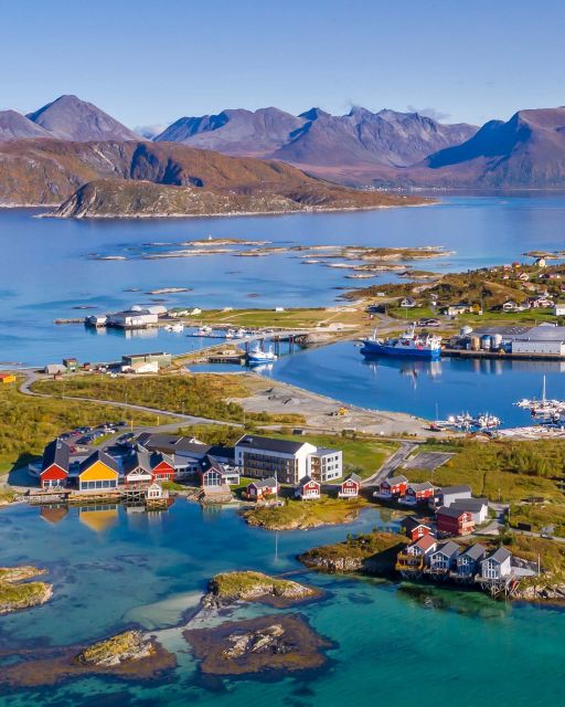 From Tromsø: Arctic Wildlife & Fjord Sightseeing Tour by Car - Guides make the difference, and you can feel it in the stops