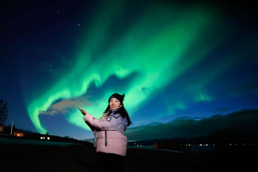 From Tromsø: Aurora Borealis Tour - Who should book this aurora bus tour in Tromsø
