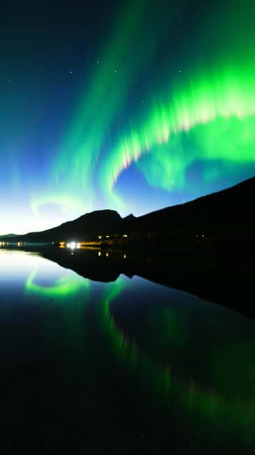 From Tromsø: Aurora Borealis Tour - Price and value: is $181 per person fair?