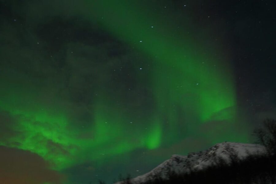 From Tromsø: Aurora Bus Tour with Snacks, Photos, and Drinks - Who this tour fits best, and who should reconsider