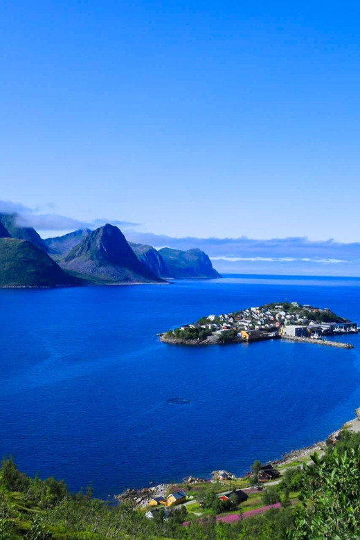 From Tromsø:（Chinese）Senja Day Trip - Language and guide style: great support, but you need to know what to expect