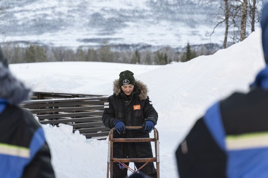 From Tromsø: Fun and Easy Dog Sledding Adventure - Key points before you go