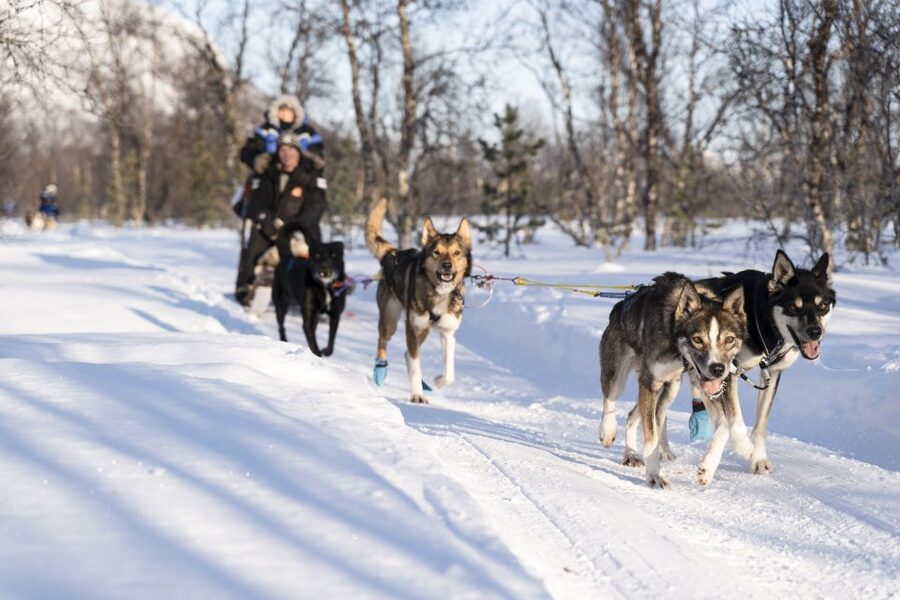 From Tromsø: Fun and Easy Dog Sledding Adventure - Tromsø to Breivikeidet: the bus ride that sets the tone