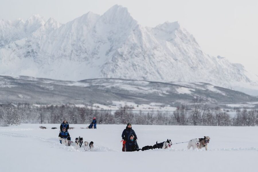From Tromsø: Fun and Easy Dog Sledding Adventure - Who should book this husky adventure