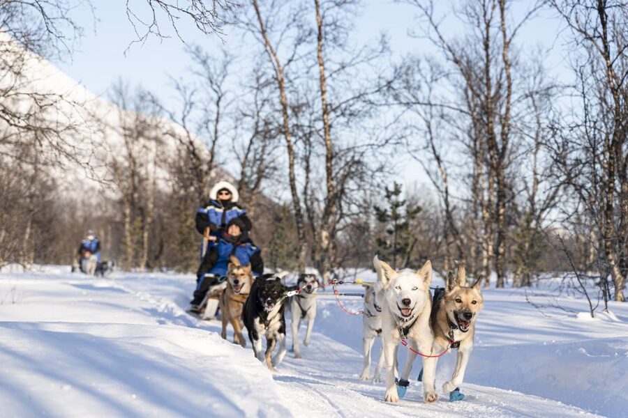 From Tromsø: Fun and Easy Dog Sledding Adventure - Common gotchas, and how to avoid them