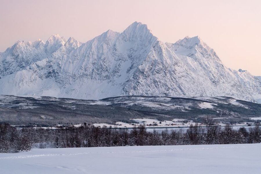 From Tromsø: Fun and Easy Dog Sledding Adventure - Should you book this tour?