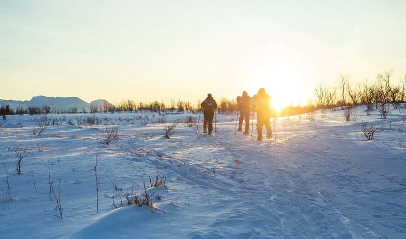 From Tromsø: Guided Husky Snowshoe Hike and Husky Camp Visit - Who Should Book This Husky Snowshoe Hike Near Tromsø