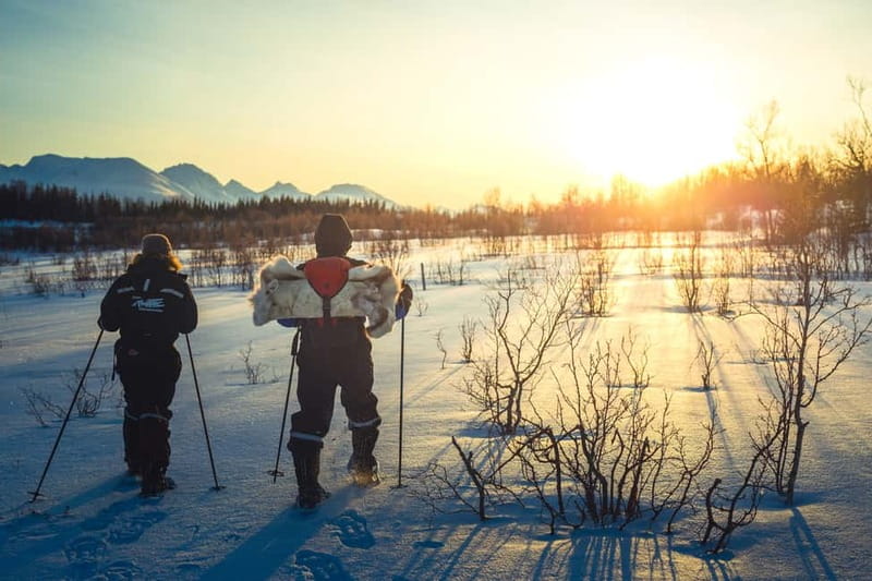 From Tromsø: Guided Husky Snowshoe Hike and Husky Camp Visit - The Snowshoe Hike Over Deep Snow: Easy Terrain, Real Winter Pace