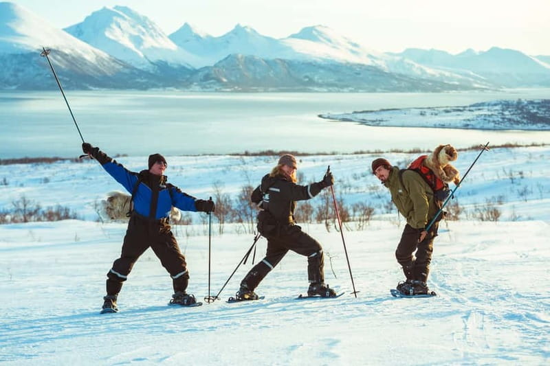 From Tromsø: Guided Husky Snowshoe Hike and Husky Camp Visit - Riding the Line Between Beginner-Friendly and Working-Dog Reality