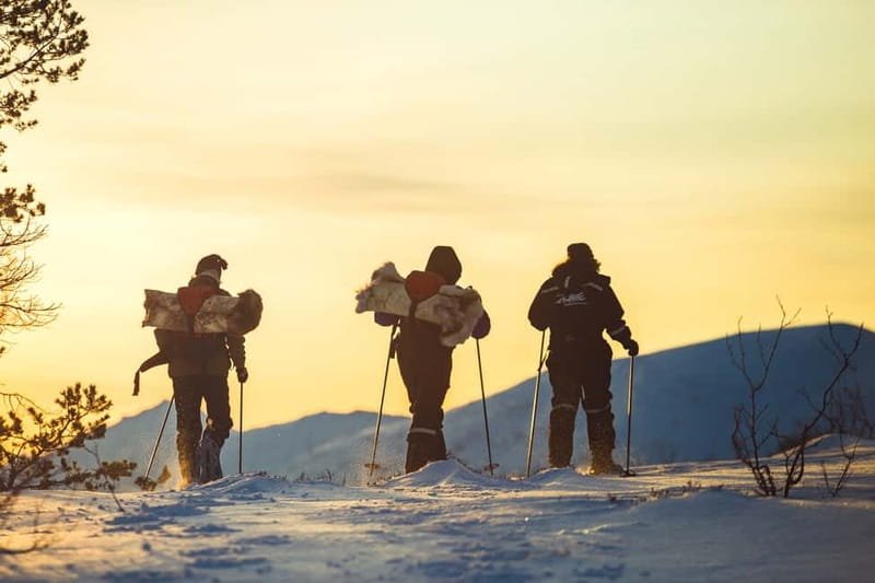 From Tromsø: Guided Husky Snowshoe Hike and Husky Camp Visit - The Husky Camp Visit: Clean Compounds, Puppies, and a Lot of Dog Time