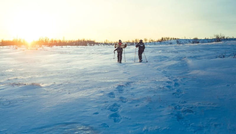 From Tromsø: Guided Husky Snowshoe Hike and Husky Camp Visit - The Guide Makes the Difference: English Support and Small-Group Attention