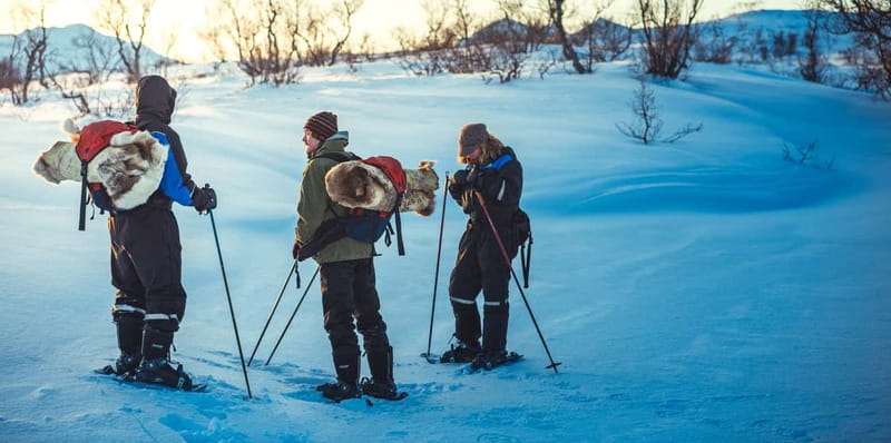 From Tromsø: Guided Husky Snowshoe Hike and Husky Camp Visit - Price and Value: Is $175 a Good Deal for This 5-Hour Arctic Day?