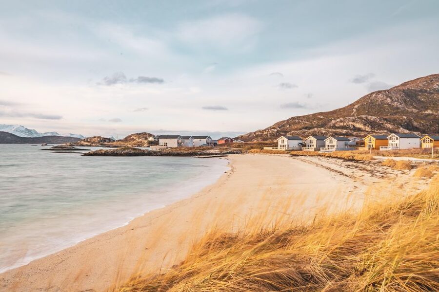 From Tromsø: Kayak trip with lunch and sauna at Sommarøy - Who should book this Sommarøy kayak and sauna day