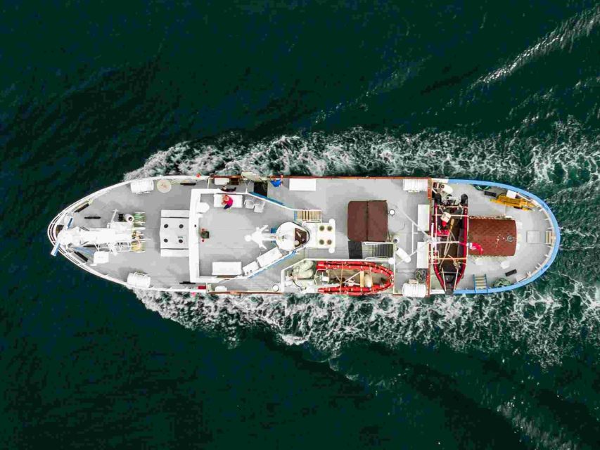 From Tromsø: Northern Lights Cruise on a Cozy Vintage Vessel - Quick hits before you go