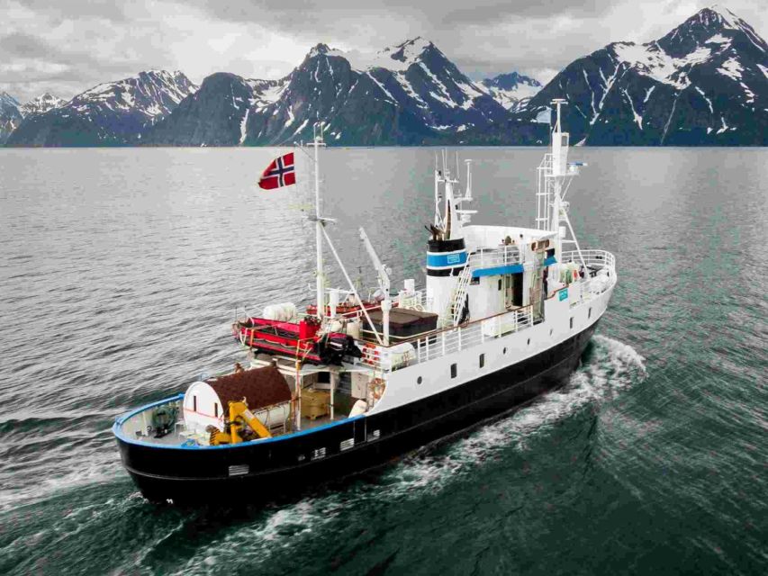 From Tromsø: Northern Lights Cruise on a Cozy Vintage Vessel - Leaving Tromsø: photo stops, safety talk, and fjord views