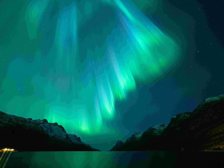From Tromsø: Northern Lights Cruise on a Cozy Vintage Vessel - Drinks, snacks, and the bar setup for a long night