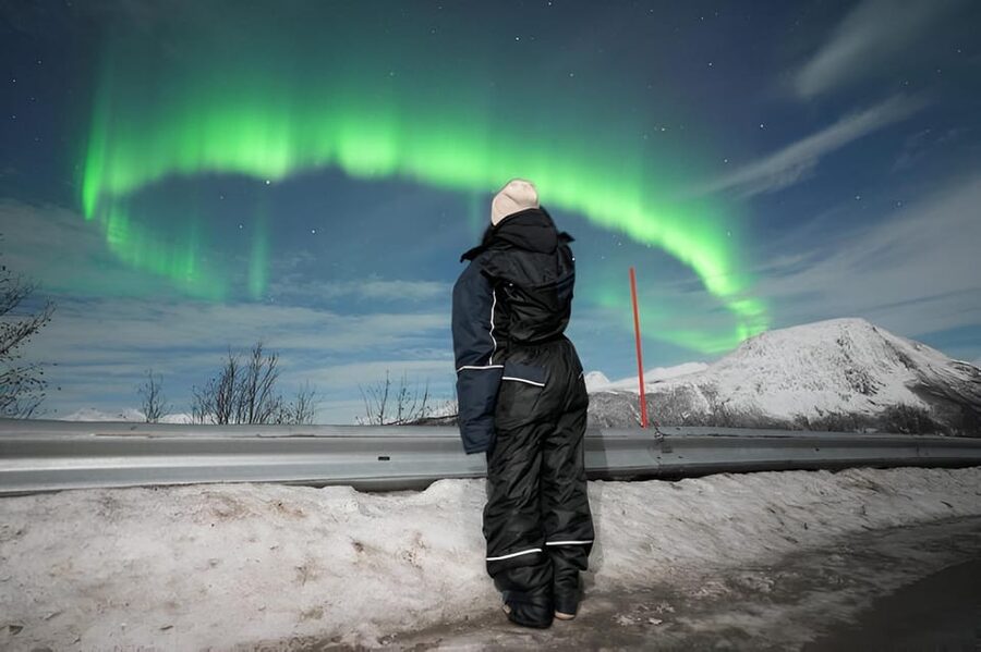 From Tromsø: Northern Lights Tour in Minibus with Photos - The 15-Seater Minibus: Comfort, Cold Control, and Group Flow