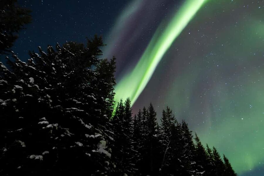 From Tromsø: Northern Lights Visit at Camp Tamok - Price and value: what $250 buys in real terms
