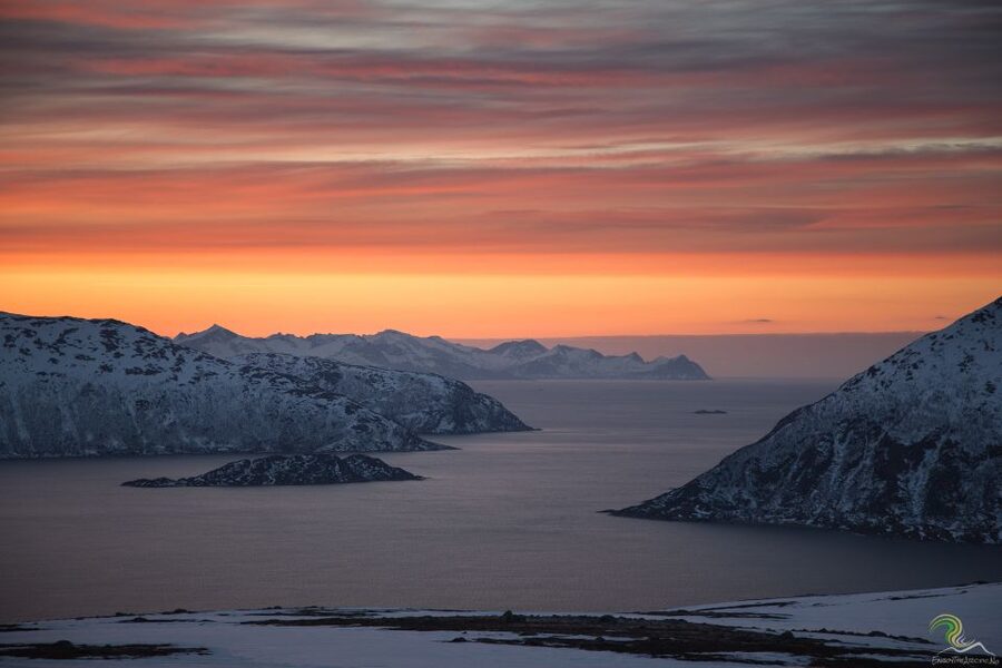 From Tromso: Norwegian Fjords Half-Day Tour - Kvaløya fjord country: walks, viewpoints, and quick reindeer surprises