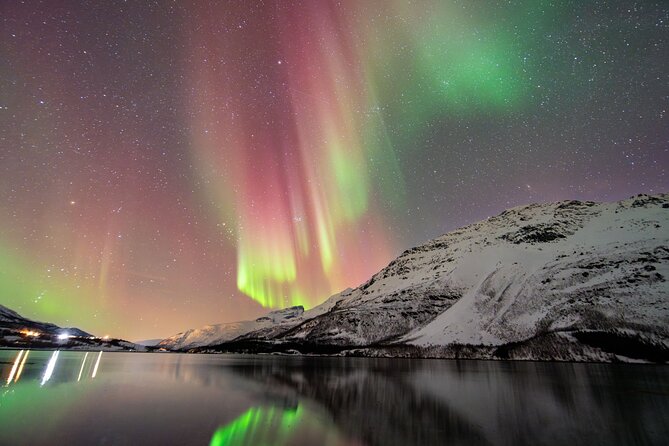 From Tromsø: OFFICIAL Northern Lights Safari by Minibus - Quick hits before you go