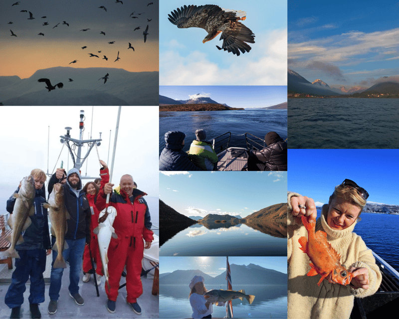 From Tromso: Polar Fishing Adventure - Where the fishing grounds near Tromsø actually pay off