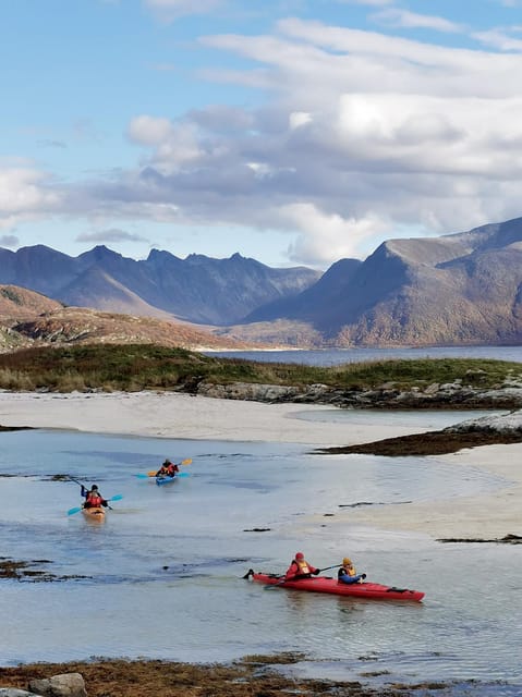 From Tromsø: Sea Kayaking Tour at Sommarøy with Transfer - Price and Value: Is $157 Actually Fair?