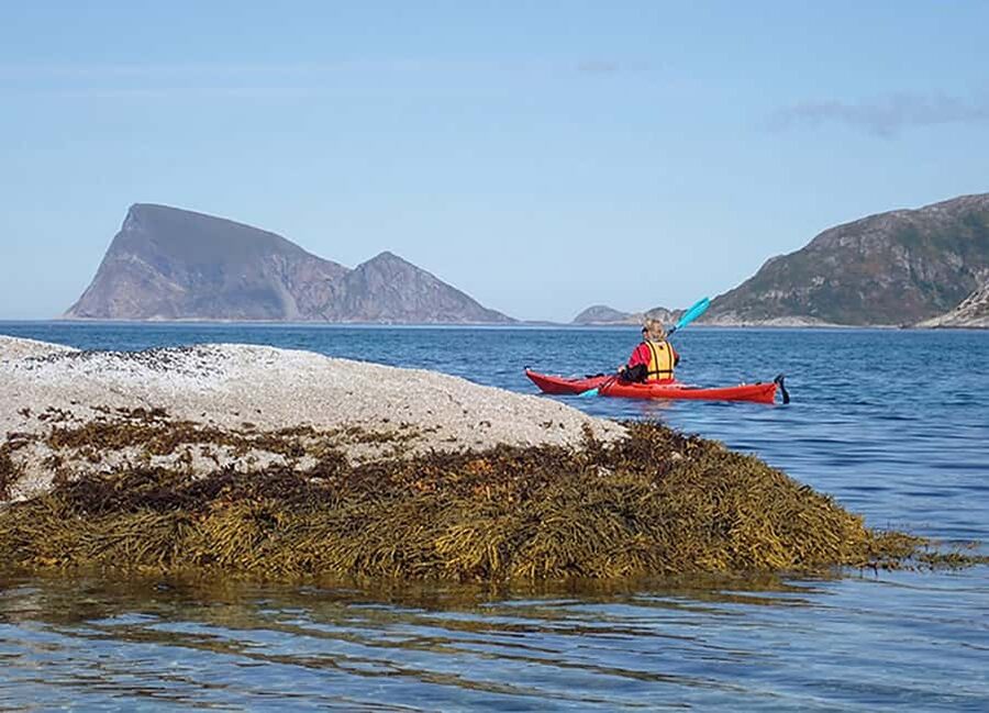 From Tromsø: Sea Kayaking Tour at Sommarøy with Transfer - Timing for a 6.5-Hour Day: How the Pacing Works