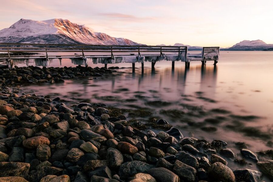From Tromsø: Senja and Kvaløya Arctic Day Trip with Lunch - Wildlife Chances: Reindeer, Otters, Seabirds, and Sea Eagles