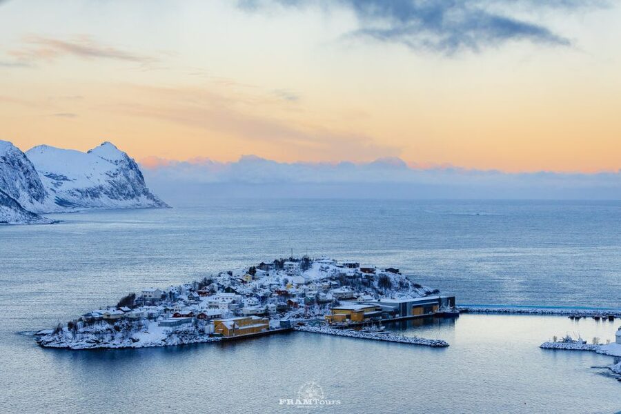 From Tromsø: Senja and Kvaløya Arctic Day Trip with Lunch - Winter Light Rules: How Dec and Jan Changes the Plan