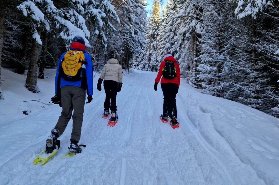 From Tromsø: Snowshoe Hike in the Arctic - Key things to know before you go