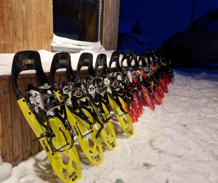 From Tromsø: Snowshoe Hike in the Arctic - Watching for Arctic wildlife, without turning it into a zoo