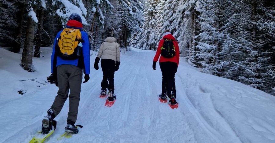 From Tromsø: Snowshoe Hike in the Arctic - The van ride in, and why it sets the whole tone