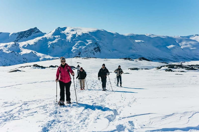 From Tromsø: Snowshoeing Hike with Picnic Lunch and Photos - The hike itself: climbing a small mountain for views that feel close