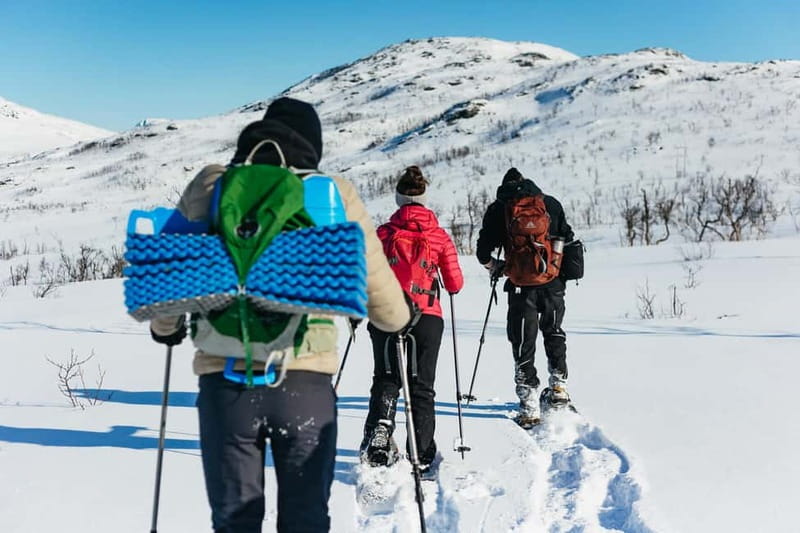 From Tromsø: Snowshoeing Hike with Picnic Lunch and Photos - Wildlife spotting tips that actually help on the day