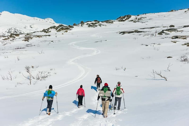 From Tromsø: Snowshoeing Hike with Picnic Lunch and Photos - Your guide’s role: route choice and the photo advantage