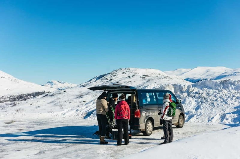 From Tromsø: Snowshoeing Hike with Picnic Lunch and Photos - Pace, terrain, and who this tour suits