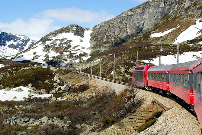 Full Day Guided Roundtrip From Bergen To Sognefjord With Flam Railway - Flåm time: fitting the famous little town into a tight schedule