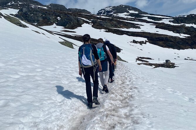 Full Day Hiking Adventure from Bergen to Trolltunga - Låtefossen bonus stop after the hike, if timing allows