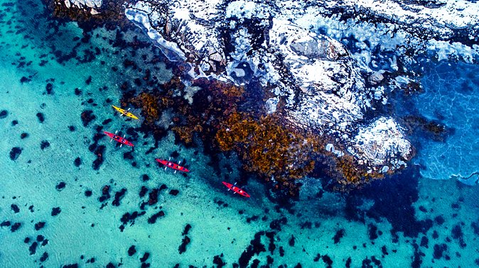 Full Day Kayak-Northern Explorer - The secluded island picnic: the break your body will thank you for