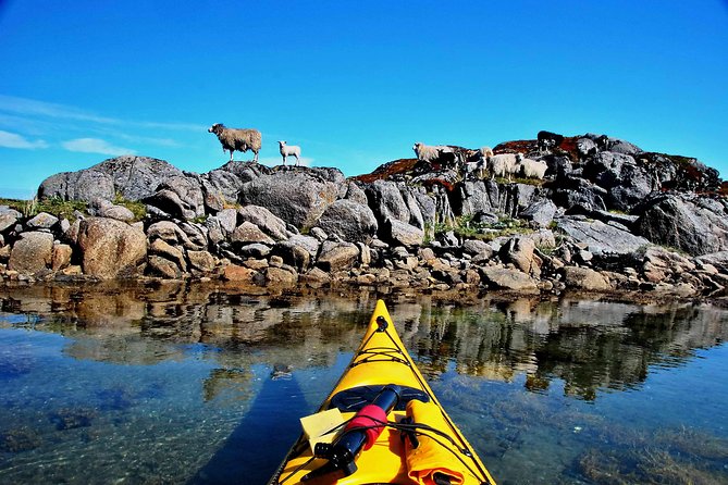 Full Day Kayak-Northern Explorer - Price and value: is $154.62 worth it?