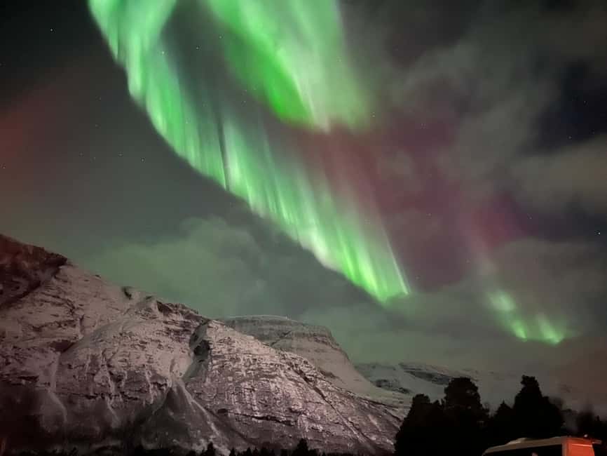 Full Night Magic of the Arctic Lights in Tromso - Timing tip: eat before you go