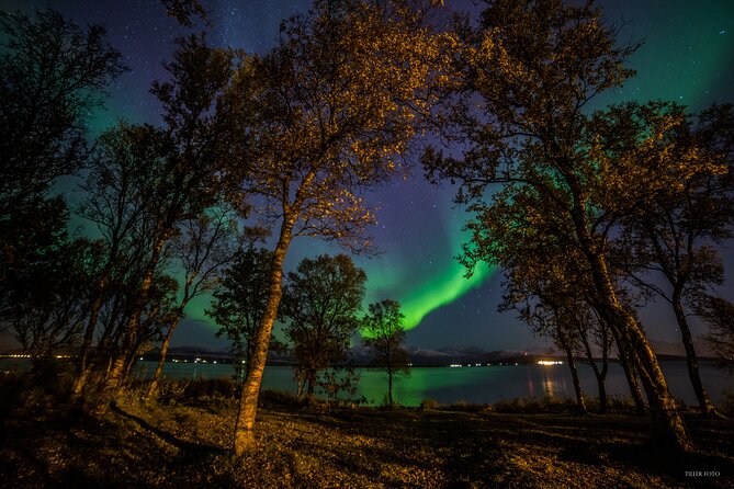 Full Night Magic of the Northern Lights in Tromso - Key Highlights To Know Before You Go