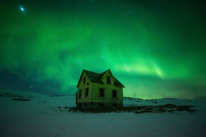 Full Night Magic of the Northern Lights in Tromso - A Northern Lights Tour That Actually Plans Around the Forecast