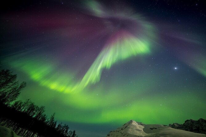Full Night Magic of the Northern Lights in Tromso - Stop by Stop: How the Evening Unfolds
