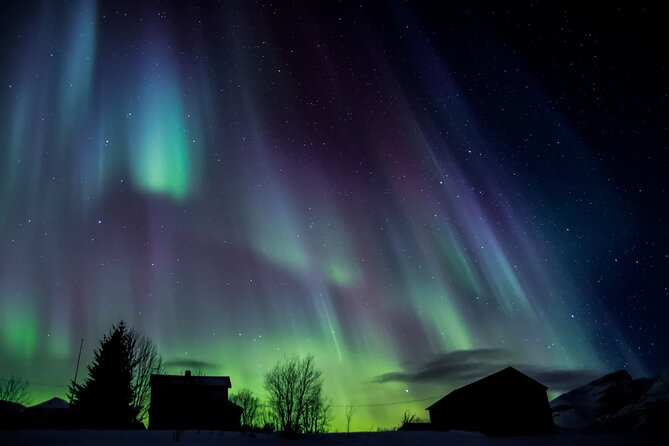Full Night Magic of the Northern Lights in Tromso - Toilets, Stops, and the Logistics That Actually Matter