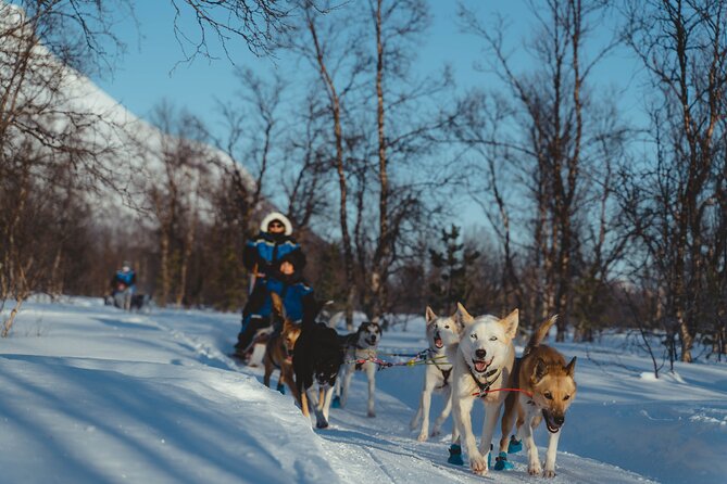 Fun & Easy Dog Sledding Adventure from Tromsø - Early Bird Tour - The cozy gear setup: suits, hats, gloves, plus your layering plan